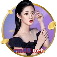 vm88 net