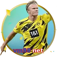vm88 net
