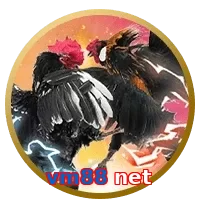 vm88 net