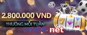 vm88 net