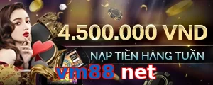 vm88 net