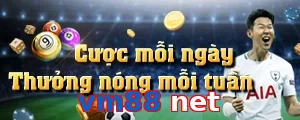 vm88 net